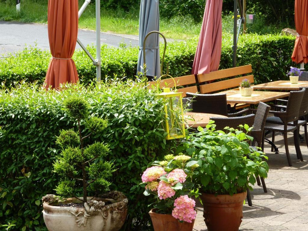 Hotel Waldschloesschen Plein Екстериор снимка
